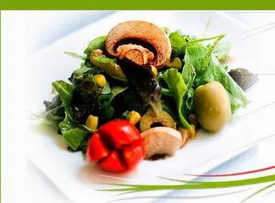 DIETA DO DOMU