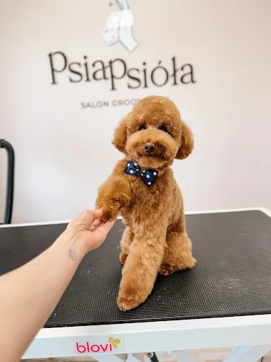 PsiaPsióła Groomer